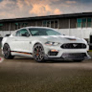 Meet your Posher, Shane